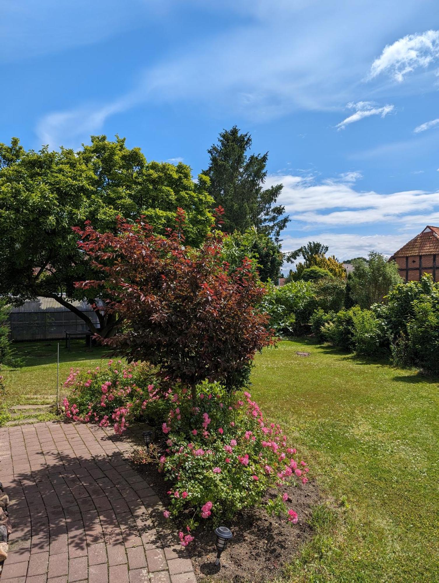 Ferienwohnung Bullersberg Balge Bagian luar foto