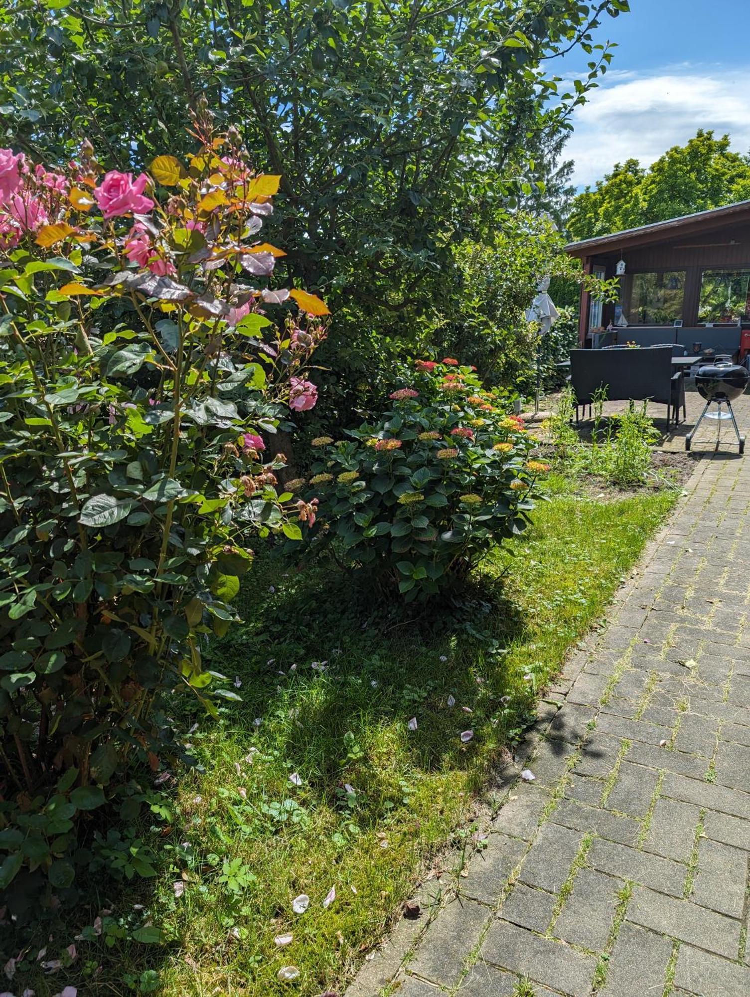 Ferienwohnung Bullersberg Balge Bagian luar foto