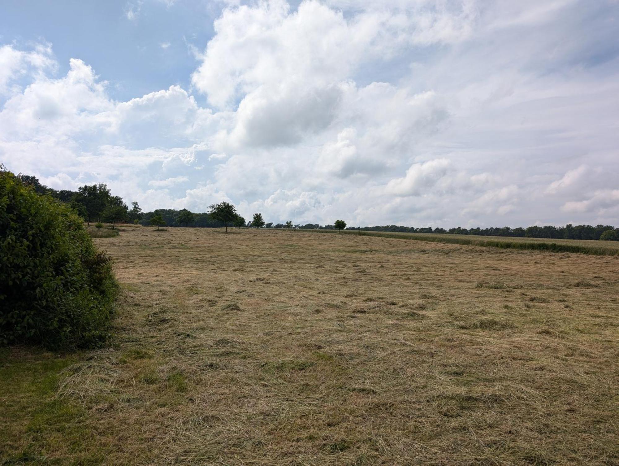 Ferienwohnung Bullersberg Balge Ruang foto